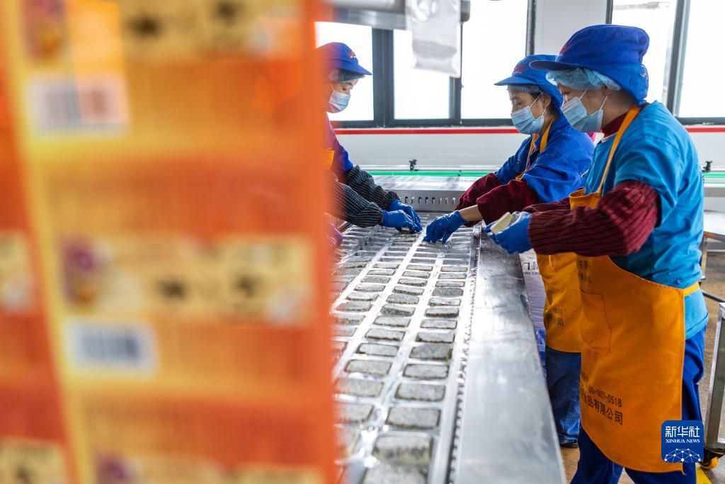 重庆合川：打造火锅食材全产业链